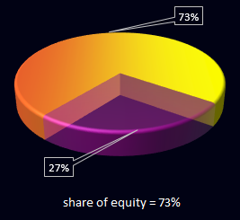 share of equity.