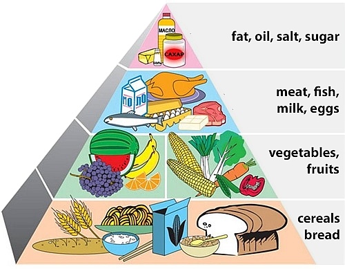 Pyramid of food types in world.