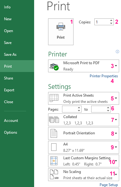 Printing Excel Spreadsheet With The Settings