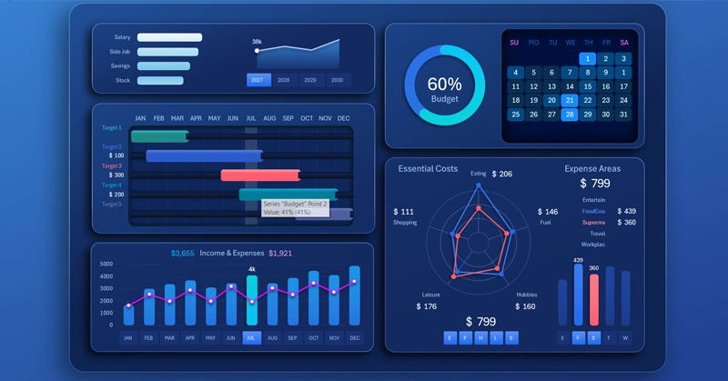 Interactive radar chart of expense structure