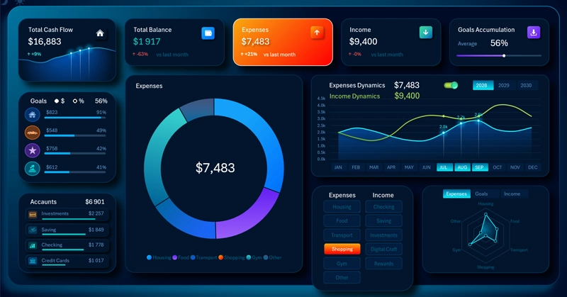 Visualization of Income and Savings Management