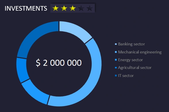Shares of investment capital in the portfolio.