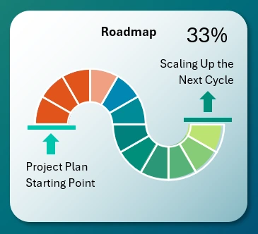 Zig-Zag Project Roadmap