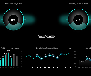 download-dashboard-company-financial-stability