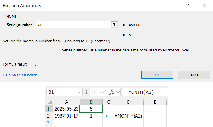 MONTH Function Example