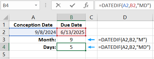 Pregnancy period from the conception date.