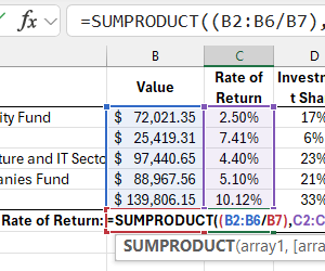 formula-for-weighted-average-interest-rate-of-portfolio